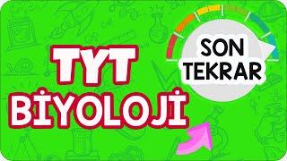 TYT Biyolojiyi Tek Videoda Full Tekrar Et!