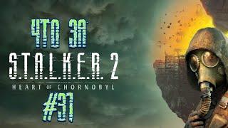 Что за  S.T.A.L.K.E.R. 2: Heart of Chornobyl #31