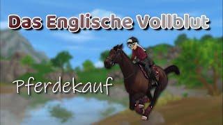 Das Englische Vollblut | Pferdekauf - Star Stable