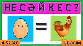 Логикалық дамытушы ойын балаларға 4 5 жас Не сәйкес сәйкестік ойыны