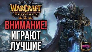 ФИНАЛ ТУРНИРА НА 3,500$ - Играют лучшие: Warcraft 3 Reforged