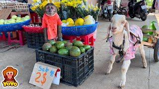 YoYo JR takes the goat to harvest vegetables and  goes market sell | full version