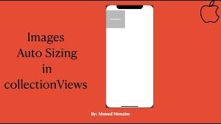 Images Autosizing in CollectionViews - iOS Swift - Arabic