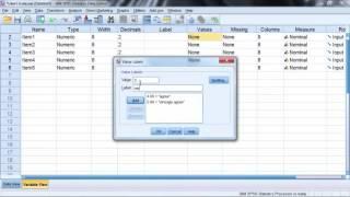 003 How to Copy and Apply Value Labels Across Several Variables at Once (Tek İşimiz Analiz)