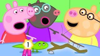 The Pet Competition at Peppa's Playgroup | Peppa Pig Official Family Kids Cartoon