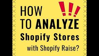 Shopify Raise - Shopify Store Analysis Tool