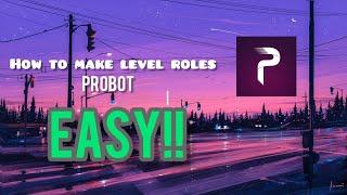 How to make Level roles by probot **EASY**