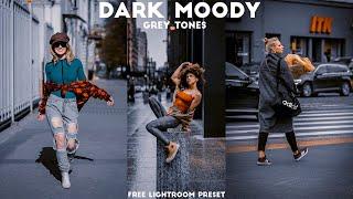 Lightroom Preset dng free download | Dark Grey Lightroom Preset | Cinematic Tone