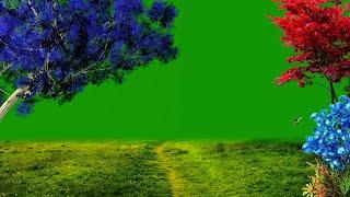 Nature Green Screen / Green Screen Effects / Tree Green Screen / Green Screen Garden / Hummingbird