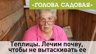 Голова садовая - Теплицы. Лечим почву, чтобы не вытаскивать ее