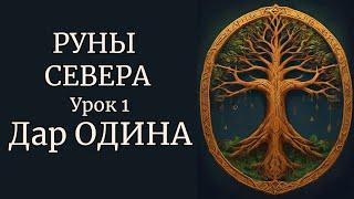 РУНЫ СЕВЕРА | ПРОИСХОЖДЕНИЕ СЕВЕРНЫХ РУН. ДАР ОДИНА. УРОК 1