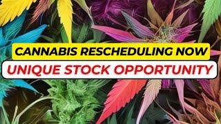 Is Cannabis Rescheduling the BEST Stock Opportunity of 2025?