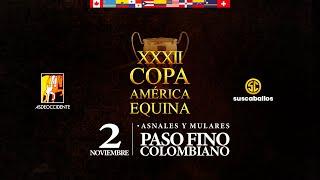 XXXII COPA AMERICA EQUINA 2024 - DIA 3/ PASO FINO COLOMBIANO.