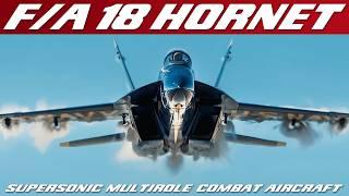 The F/A-18 Hornet: McDonnell Douglas Masterclass in Aviation