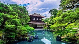 3 HOURS Relaxing Music | Japan Traditional Instrumental Flute | for Meditation, Yoga, Massage, Spa
