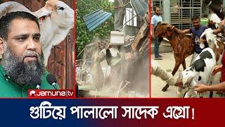 উচ্চ বংশীয় গরু-ছাগল বিক্রেতা সাদেক এগ্রোর বাহাদুরি শেষ! | Sadek Agro | Jamuna TV