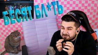 РЕАКЦИЯ HARD PLAY НА ВИСЛОУХИХ КОШЕК