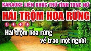 Karaoke Liên Khúc Tone Nữ 2025 Dễ Hát | Hái Trộm Hoa Rừng - Hoa Nở Về Đêm | Karaoke Minh Kha