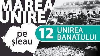 Unirea Banatului cu România (1918-1919) | MAREA UNIRE PE ȘLEAU ep.12/15