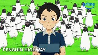 What is Penguin Highway? | Anime Club | Prime Video