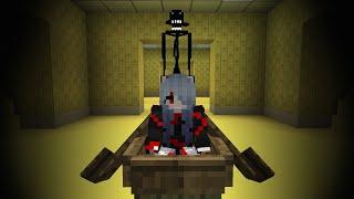 How NOT To Clip Into The Backrooms (Minecraft Gargin Mod)