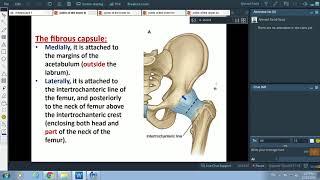 Joints of the Lower Limb (Hip and Knee)-Dr. Ahmed Farid