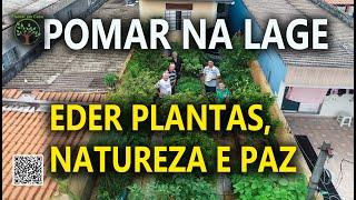 Pomar na Lage, Plantas em Vaso com quem entende, Eder Plantas Natureza e paz