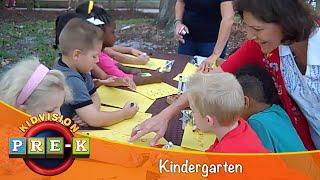 Kindergarten | Virtual Field Trip | KidVision Pre-K