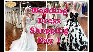 Wedding Dress Shopping - First Day Out