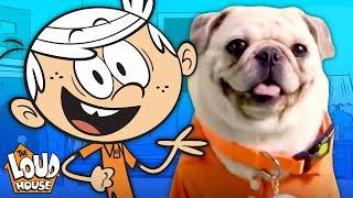 The Pugs & Louds Team Up for an Opening Theme Song  | The Loud House