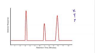 How to Analyze GC Results for Lab