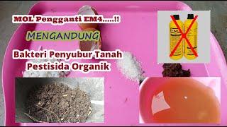 Cara Membuat MOL (Mikro Organisme Lokal) Pengganti EM4, Penyubur Tanah, Pupuk dan Pestisida Organik!