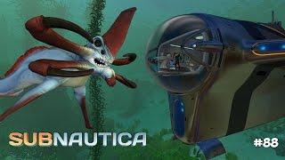 ОТДАЕМ ЦИКЛОП ЖНЕЦУ. ТАНЕЦ СМЕРТИ - Subnautica (Experimental) #88