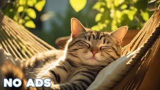 12 Hours Sleep Music for Cats  Calming Music for Cats No Ads  Sleep Music for Anxious Cats