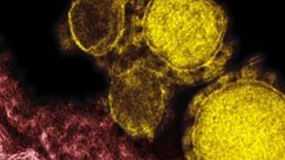 Just how dangerous is MERS?