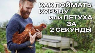 Как поймать любую курицу или петуха за 2 секунды