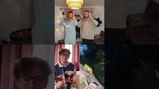 Disco Frog TikTok Chain but its actually good lol