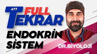 #Endokrin Sistem AYT Biyoloji Full Tekrar | 2024 | #drbiyoloji