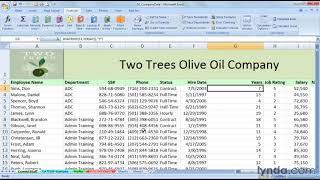 Excel Tutorial - The DATEDIF function