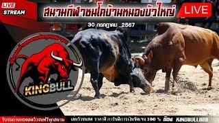 #ถ่ายทอดสดวัวชน สนามชนโคบ้านหนองบัวใหญ่   30/7/2567  #วัวชน  #วัวชนวันนี้ #วัวชนสด