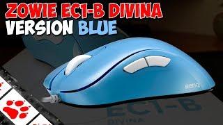 Обзор Zowie (BenQ) EC1-B DIVINA Version Blue: Мышка для профессионального киберспорта.