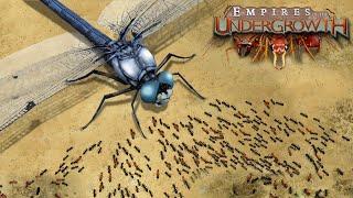 The Giant Dragonfly Attacks Ant Colony!!! - Empires Of The Undergrowth - Ep30