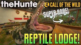 The BEST Crocodile & Alligator Trophy Lodge on YouTube?! | Call of the Wild