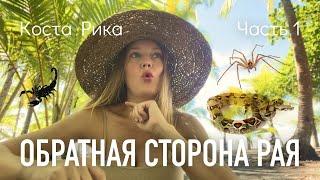 Коста Рика. О чем не договаривают туристам. Минусы жизни в тропическом раю. Часть 1