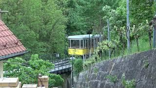 Steil Bergauf mit der Dresdener Standseilbahn zum Weißen Hirsch am 11.05.2022