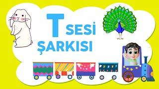 T Sesi Şarkısı | Pollkids