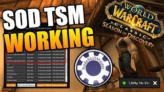 How To Get TSM Working in Season of Discovery |  TradeSkillMaster Guide SOD