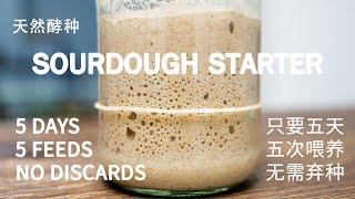 How to make Sourdough Starter in 5 days,  without discards