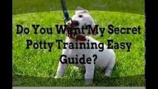 Laurie Luck - How to House Train (Potty Train) Your Puppy - Laurie Luck