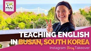 Day in the Life Teaching English in Busan, South Korea with Lexie Polk